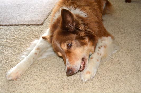 Older girl Bella with treat