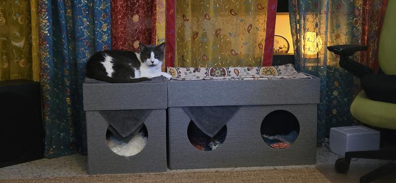 Genie is 16lbs. She can only lay on the smaller one because I have a thick towel folded up in it, since the is pretty deep. It would be perfect for a normal sized cat.