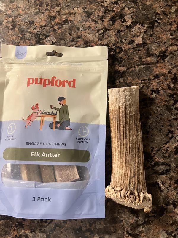 Pupford vs Buck Bone