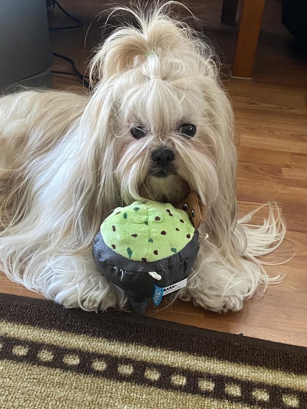 Rousey and her new favorite toy