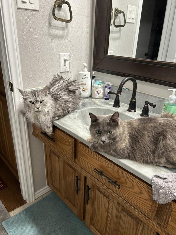 Chilling while I get ready for bed