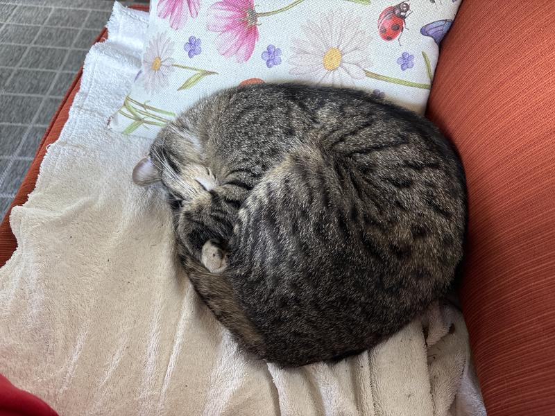 Sleeping from a night out