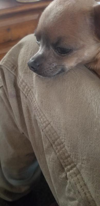 My youngest daughter