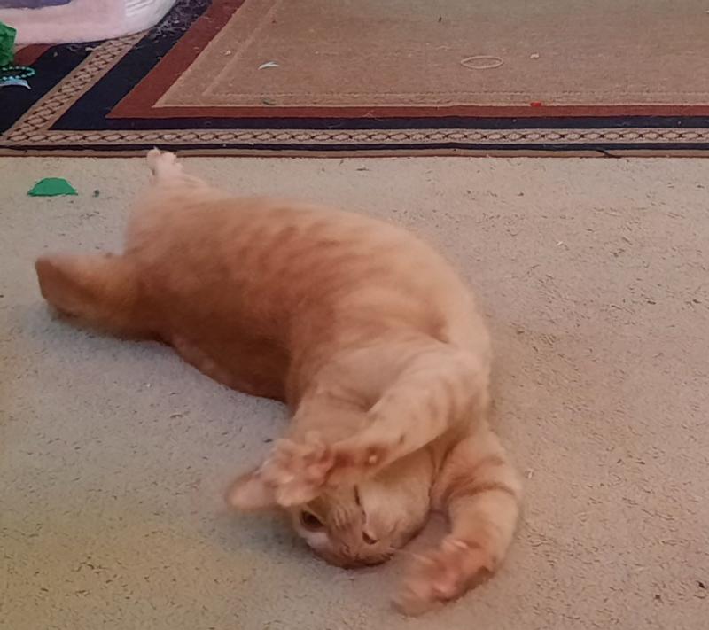 Pete showing his peets.