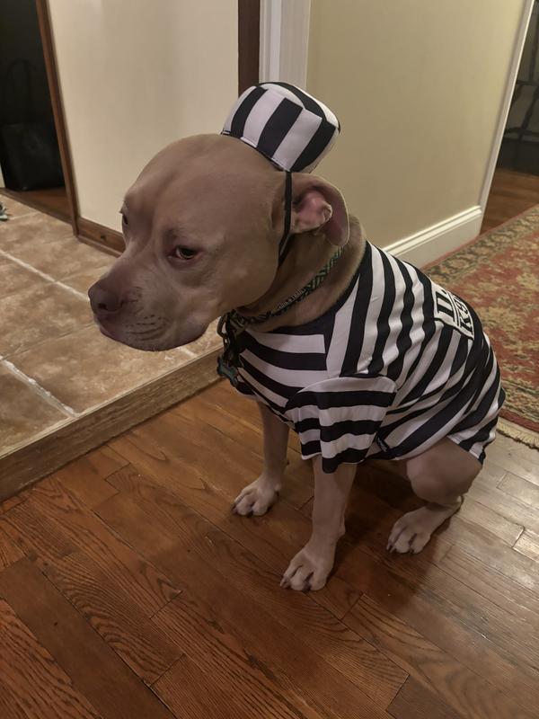 Criminal