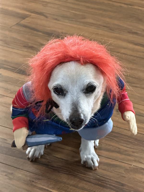 Glen loves his Chucky costume