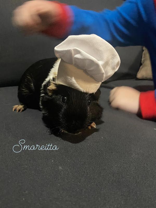 Smoreitto
