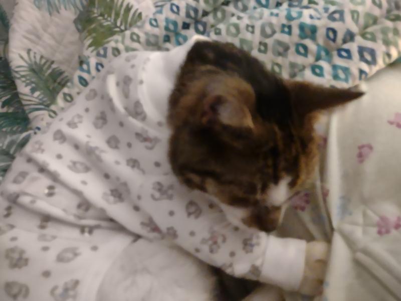 TULANE'S CLOSET Cover Me by Tui Adjustable Fit Long Sleeve Recovery Cat