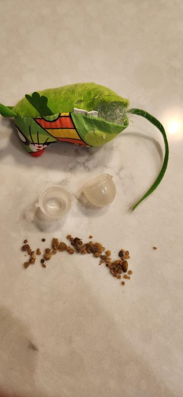 Complete Disappointment