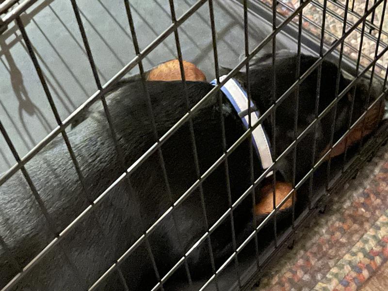 Photo taken in dimly lit room