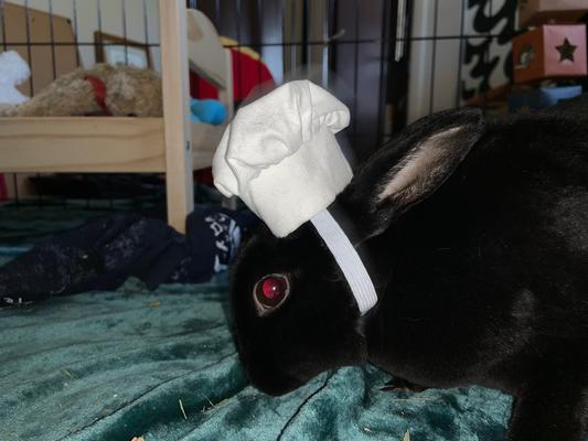 horror surprisingly likes his new hat