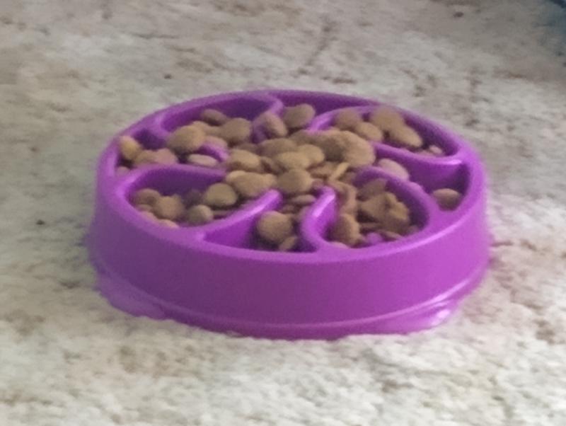 Outward Hound Fun Feeder - Joey's Pet Outfitters