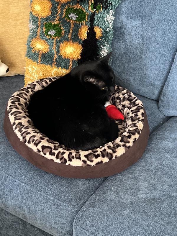 My 13 lb boy loving his bed