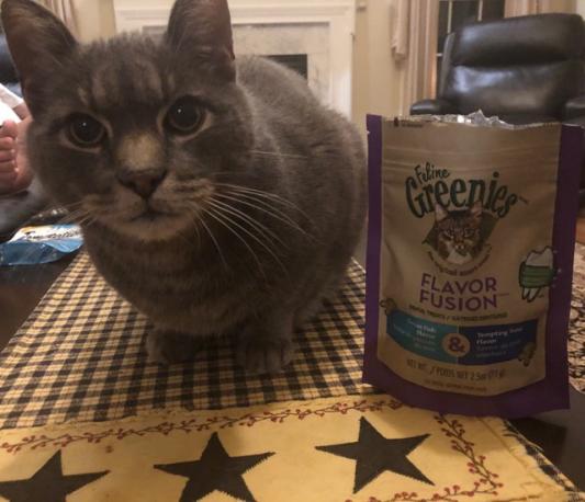 Feline greenies flavor fusion sales