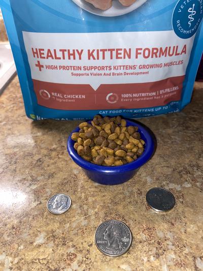 Purina one healthy kitten best sale formula dry cat food