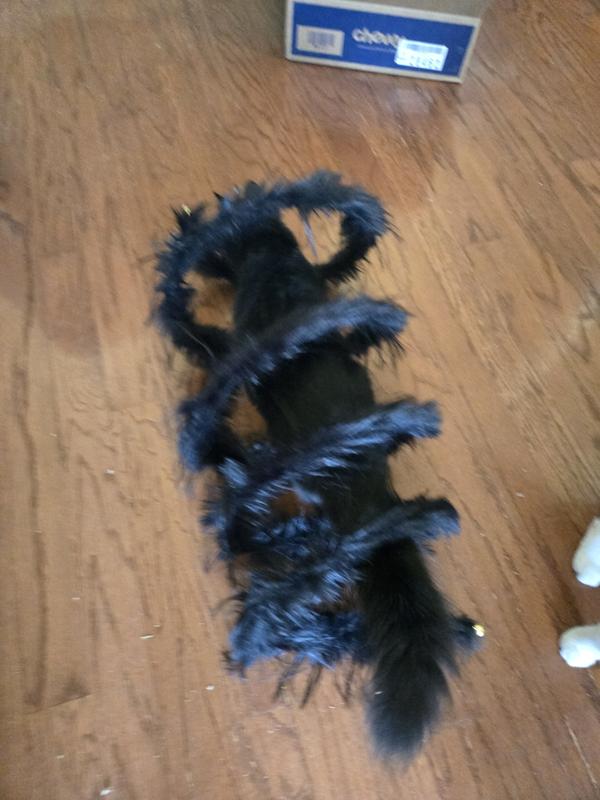 Juniper aka minnow monster