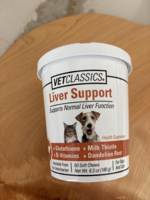 glutathione injections culver city Roughly 70% of your dog's immune system lives in their gut. 🔬 This is why  dogs with seasonal allergies often have digestive issues too. They're not  separate problems. They're connected. When the main image 1