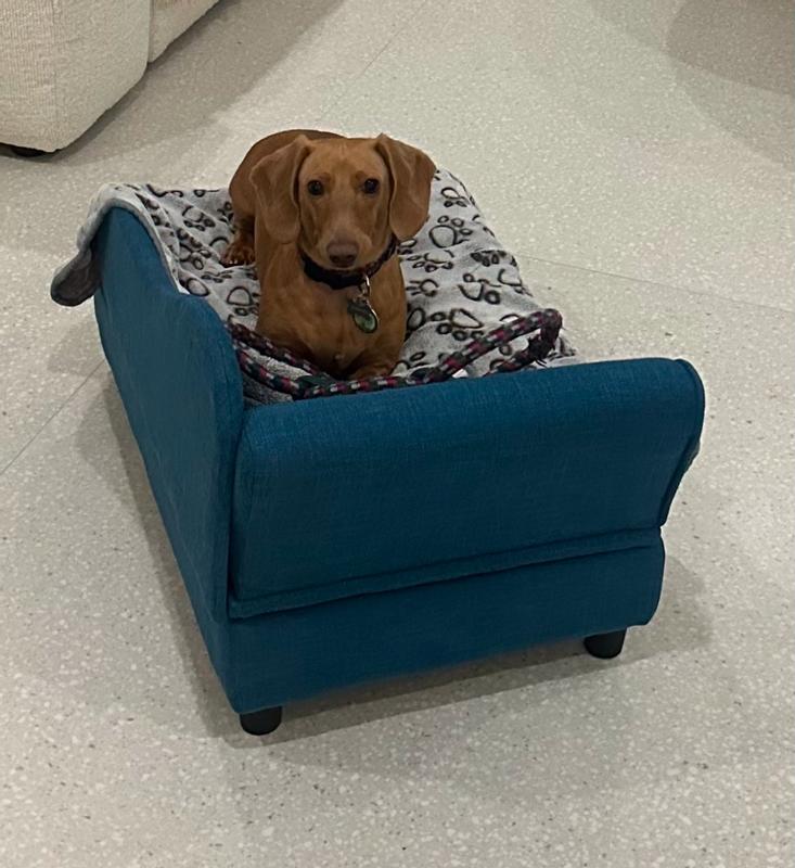 Hopped on it the moment he saw it, didn’t even think about biting or digging