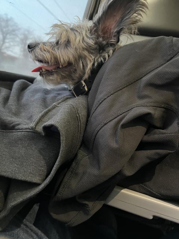 It’s not the best photo of him in it, but he’s literally lying down on the table in the carrier that’s covered by my coat he loved it.It worked out well for a 14 hour train ride.