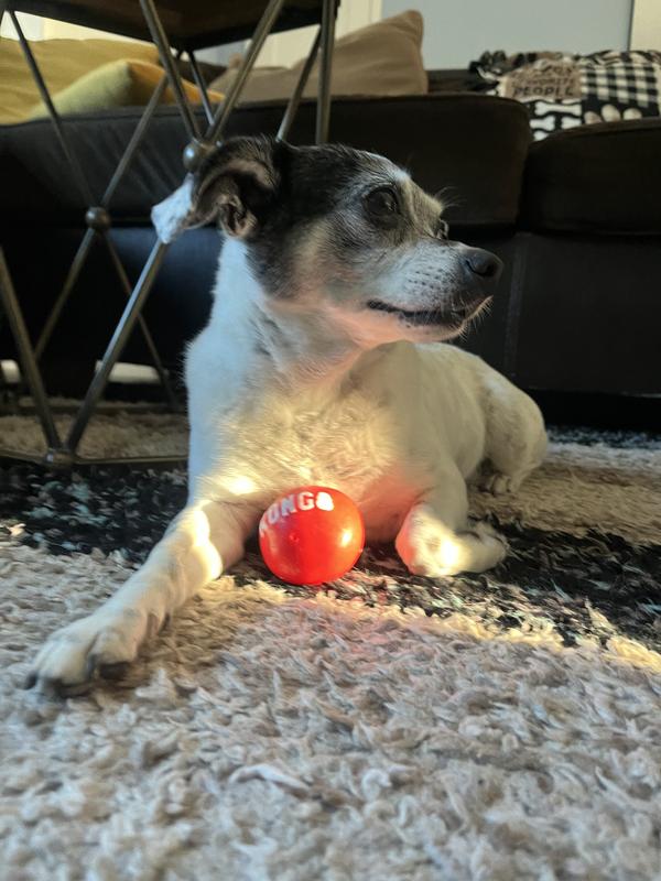 KONG Signature Balls Dog Toy, 2pack, Red, Large
