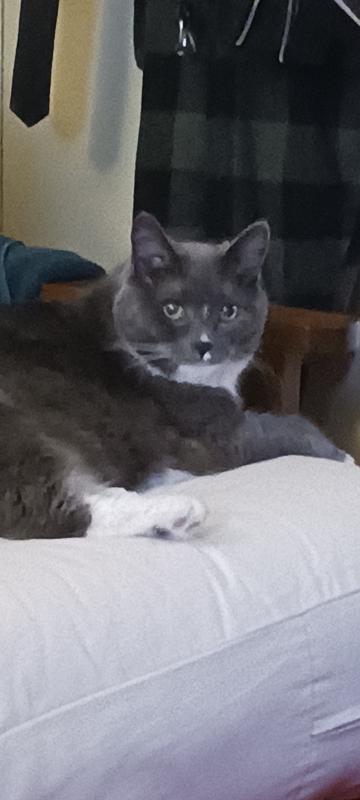 Our babygirl our little princess.