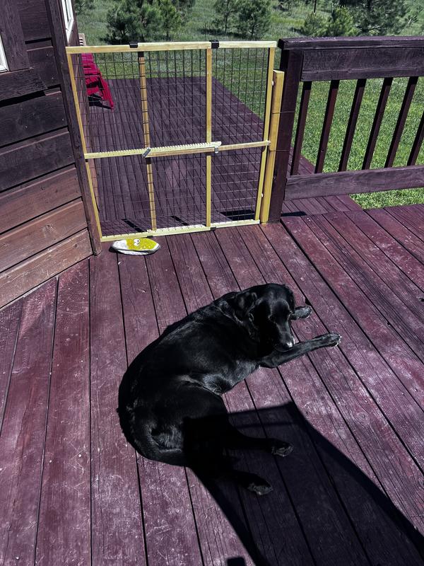 MYPET Extra Tall Wide Wire Mesh Dog Gate