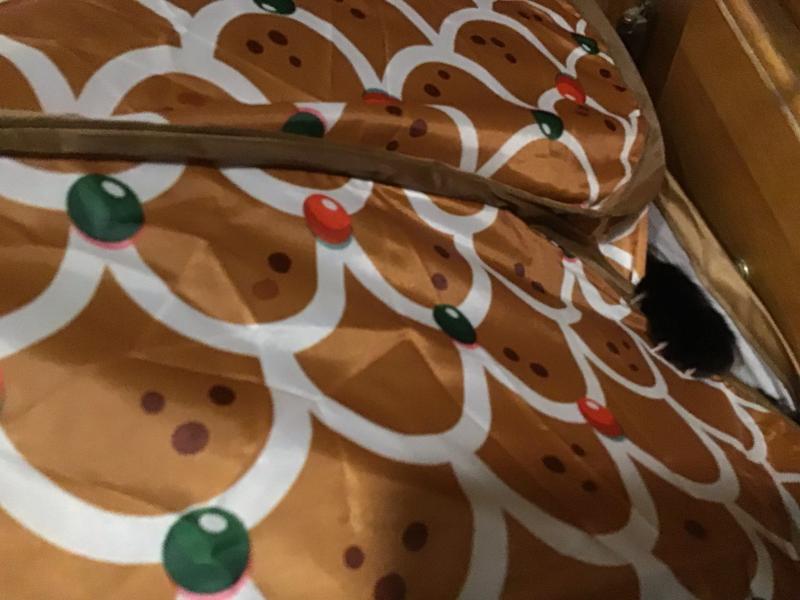 Cat attack while putting together