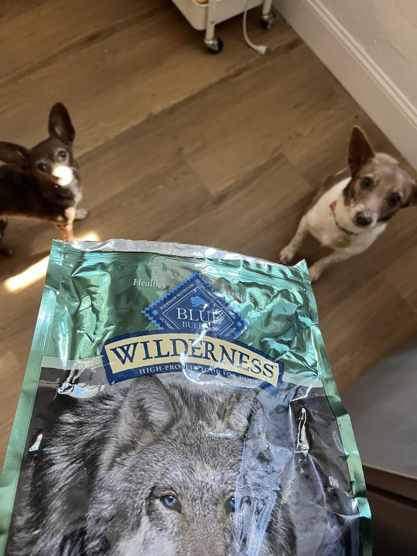 Of wilderness outlet dog food reviews