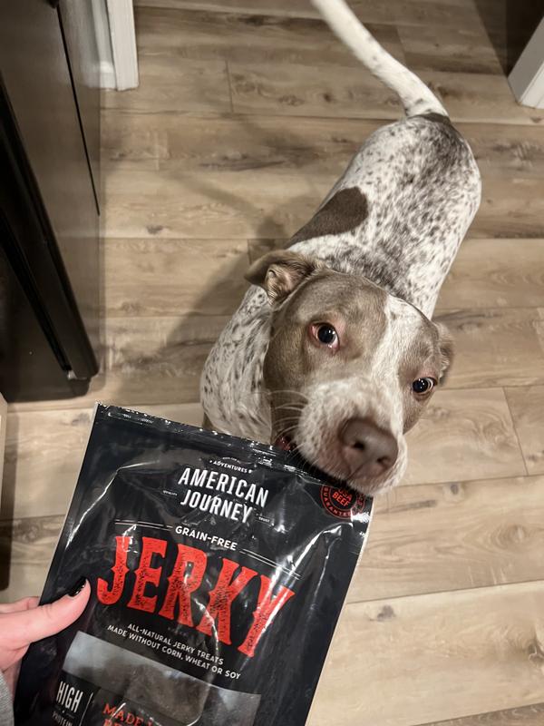 American journey hot sale beef jerky