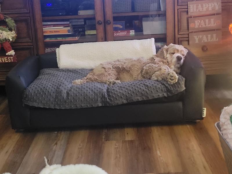 Keet clearance dog sofa