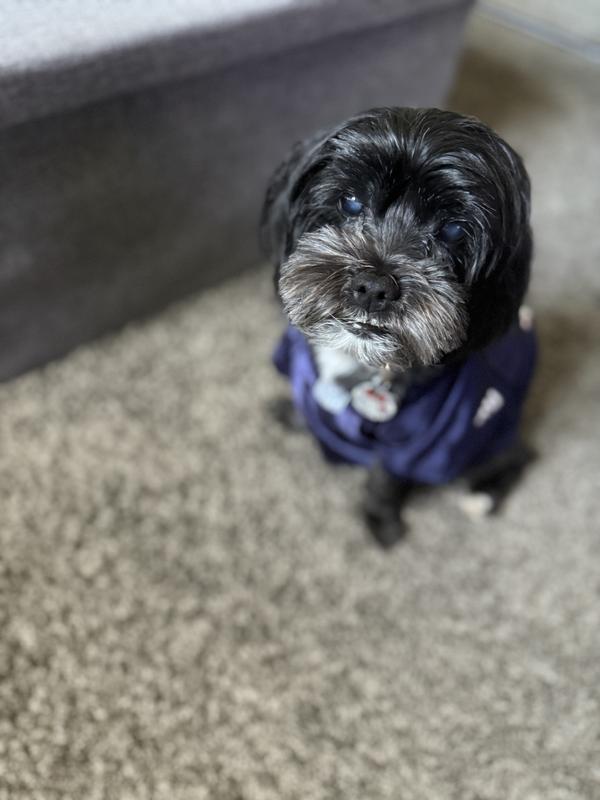 She loves her Jersey