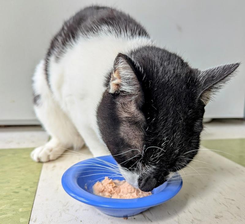 Finley the toothless wonder!