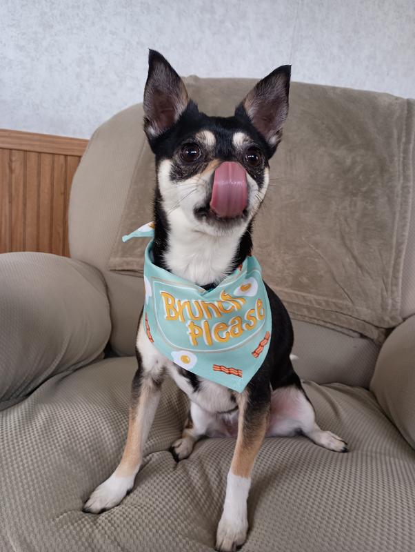 So appropriate for our little 11 pound snacker!