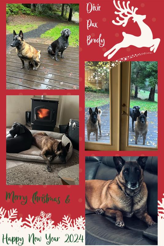 Vetnique Labs Profivex Probiotic Digestive Health, Prebiotic & Fiber Soft Chew Supplement for Dogs