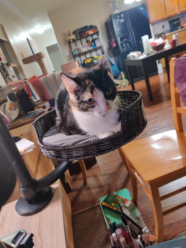 S’mores helping her mom work