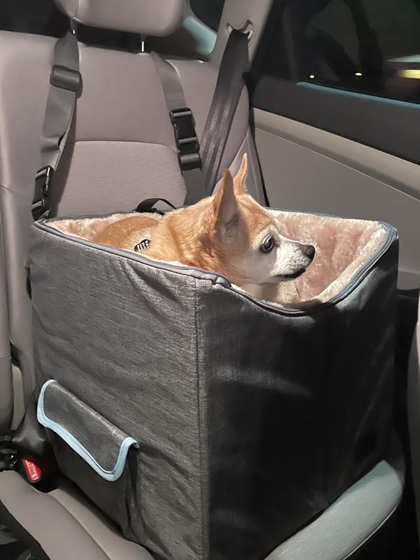 Our little guy chillin in his seat