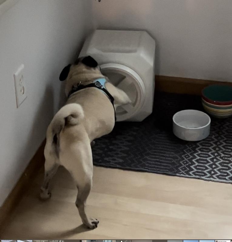 GAMMA2 Vittles Vault Plus Pet Food Storage, 15lb