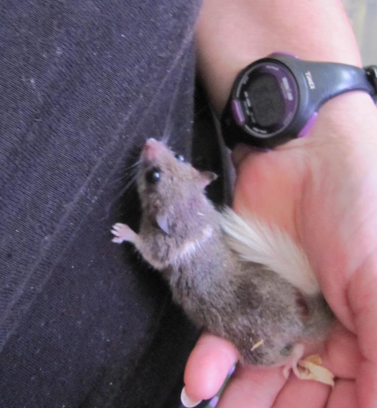 Strykr loves me as much as I LOVE him