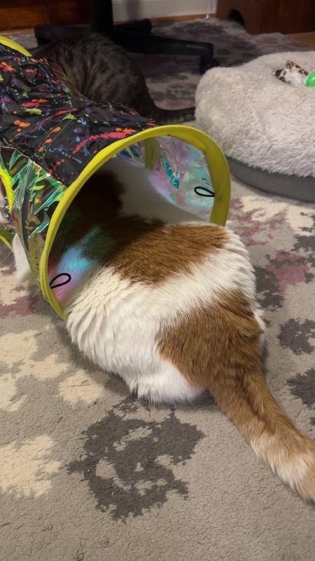 KONG Play Spaces Rave Cave Cat Tunnels with Catnip Toy, Multicolor ...