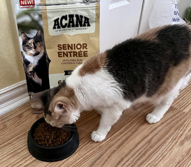 Acana senior cat food hotsell