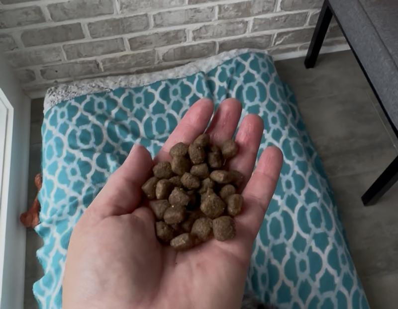 Small, light and crunchy