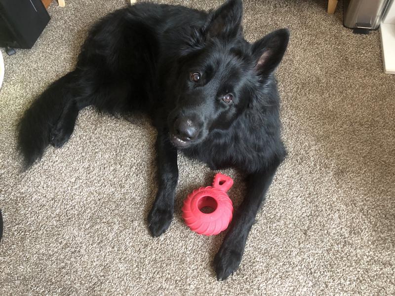 JOLLY PETS Tuff Treader Dog Toy, 6in