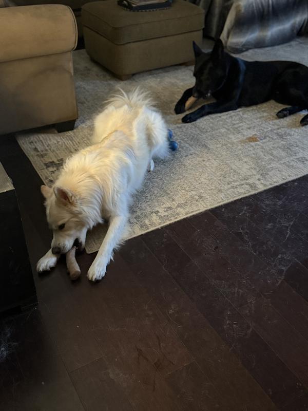 Not too hard and dogs seem to love it