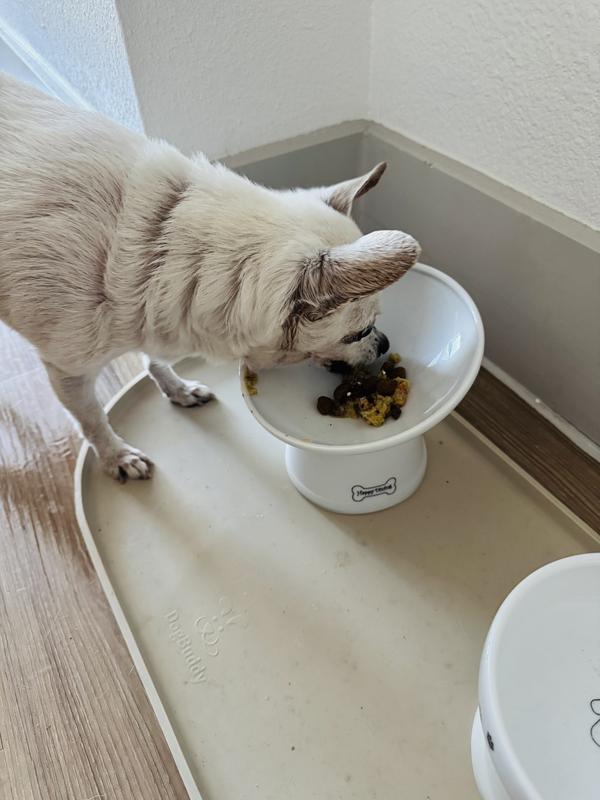 Charlie eats this daily as a topper!