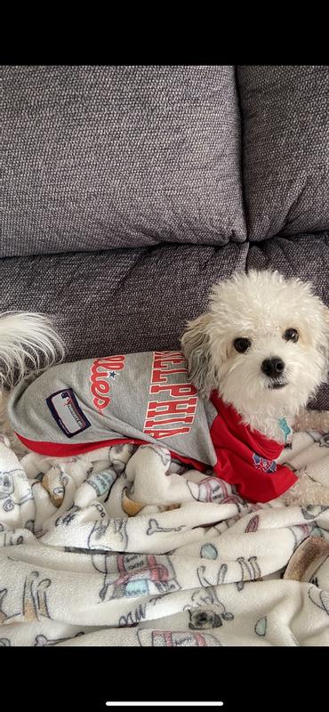 KIMO loves his hooded Phillies shirt.