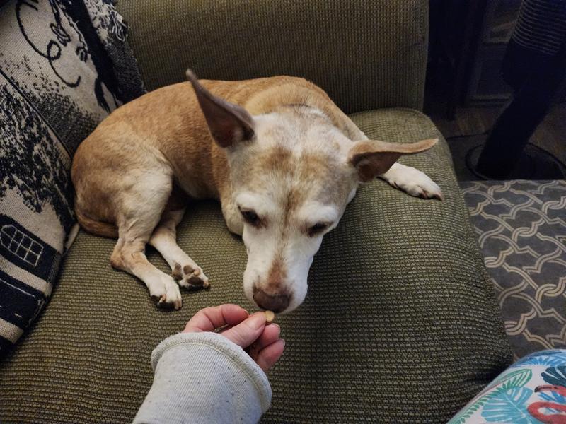 It smells good, I'm interested