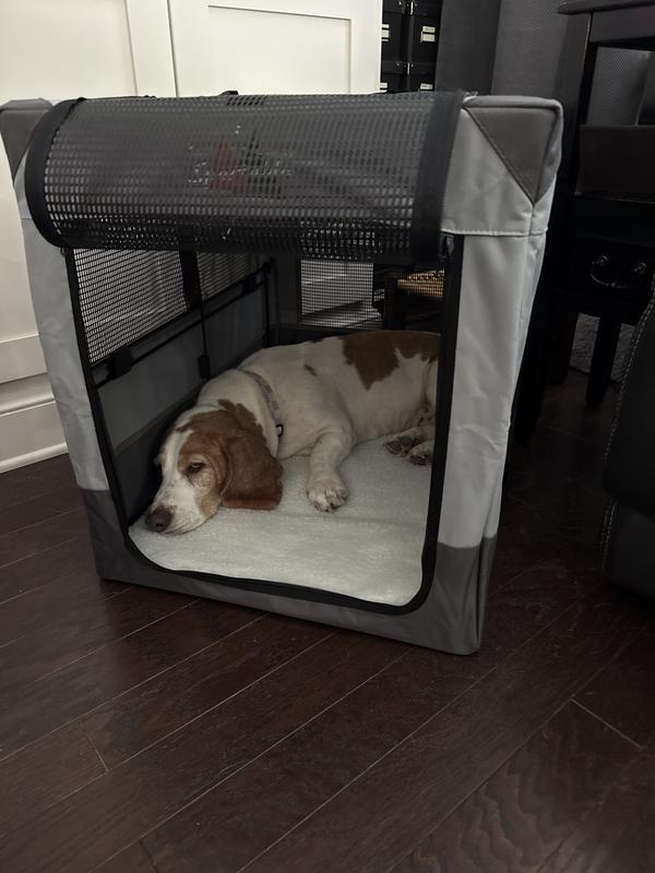Barbie enjoying her travel crate!