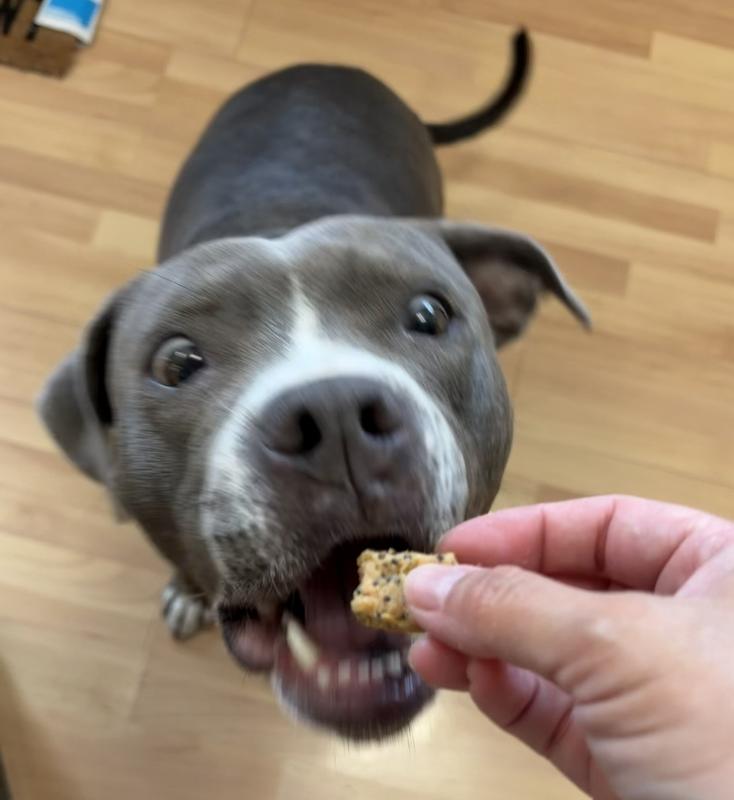 Nelly excited for her bar aka treat!