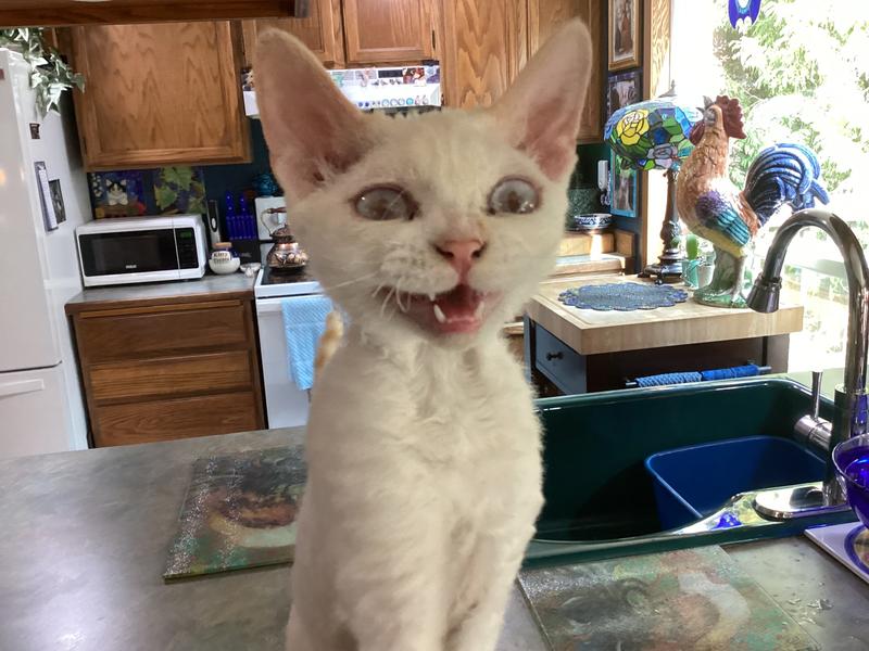 Alina says “TASTY!”