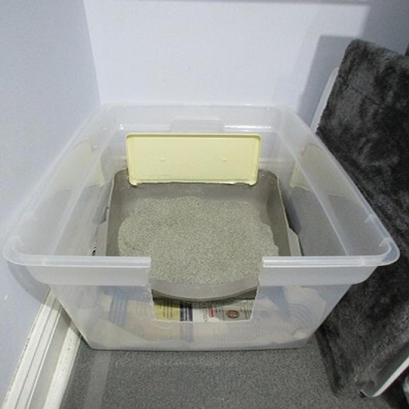 FRISCO High Sided Cat Litter Box, Navy, Extra Large 24in